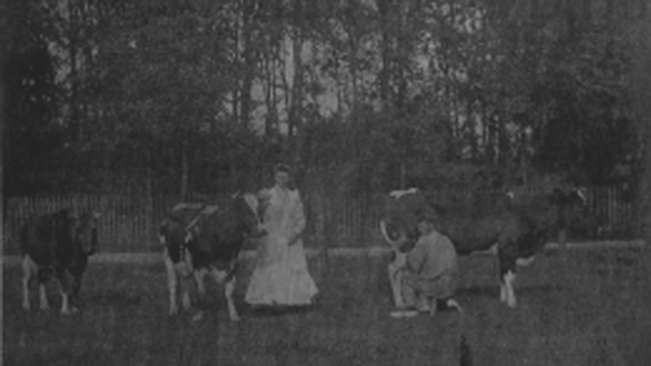 Van Dolder wei (Waar nu de banen liggen.)